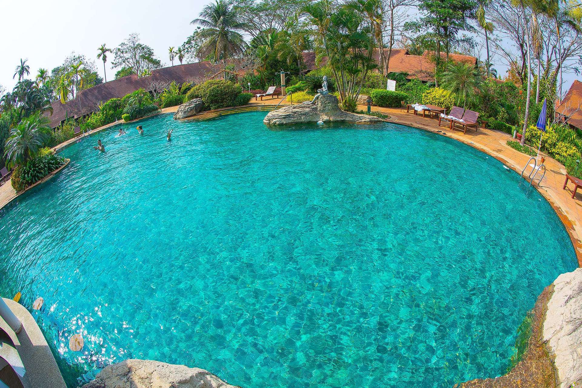 Pool morning